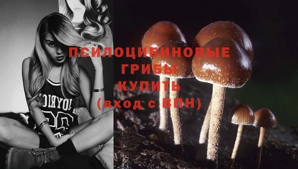 мескалин Алексеевка
